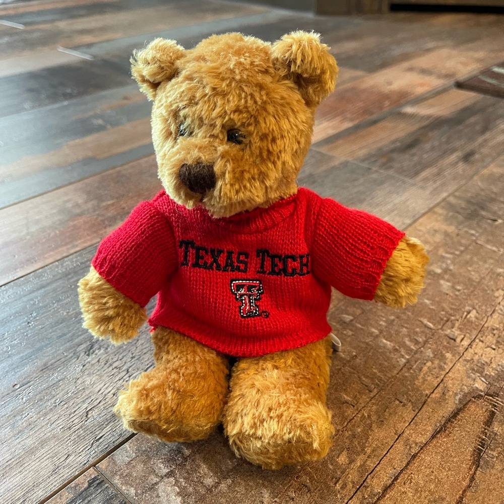 Adorable Texas Tech Small Plush Teddy Bear Bean Bag